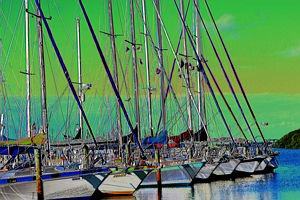 This picture was taken in Florida. I Solarized the image ... by Blair Hughes 